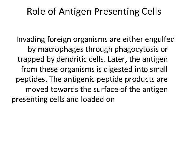 Role of Antigen Presenting Cells Invading foreign organisms are either engulfed by macrophages through