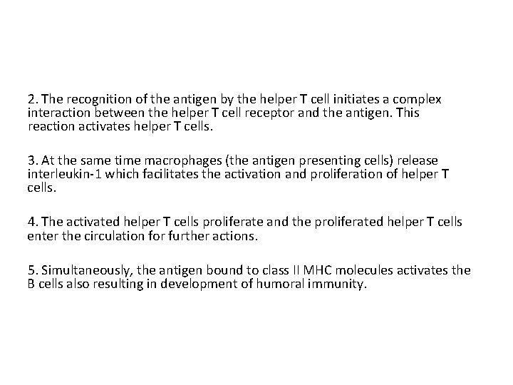 2. The recognition of the antigen by the helper T cell initiates a complex