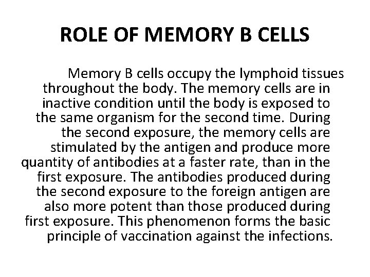 ROLE OF MEMORY B CELLS Memory B cells occupy the lymphoid tissues throughout the