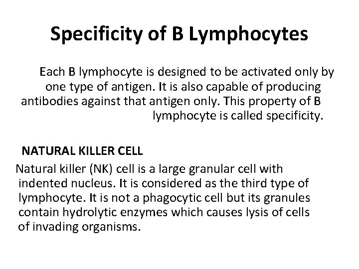Specificity of B Lymphocytes Each B lymphocyte is designed to be activated only by