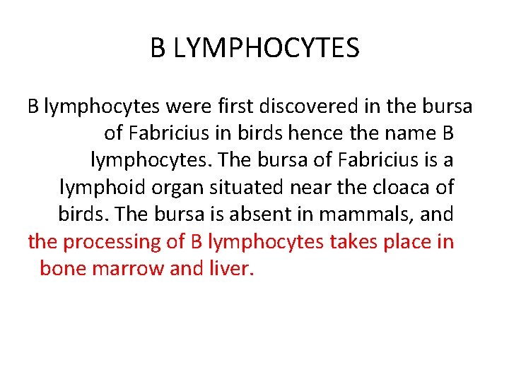 B LYMPHOCYTES B lymphocytes were first discovered in the bursa of Fabricius in birds