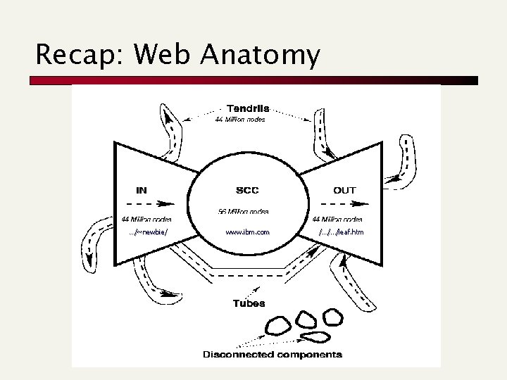 Recap: Web Anatomy …/~newbie/ www. ibm. com /…/…/leaf. htm Recap: Web Anatomy …/~newbie/ www. ibm. com /…/…/leaf. htm