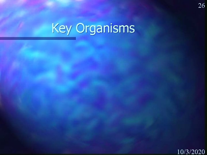 26 Key Organisms 10/3/2020 