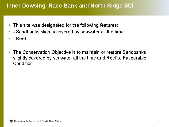 Inner Dowsing, Race Bank and North Ridge SCI • This site was designated for