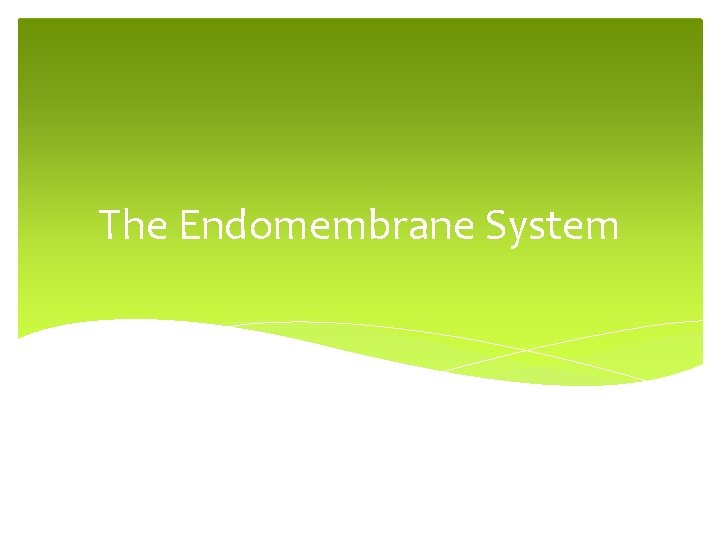 The Endomembrane System 