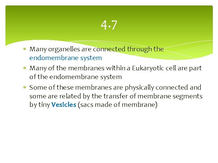 4. 7 Many organelles are connected through the endomembrane system Many of the membranes