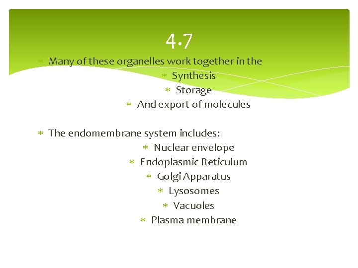 4. 7 Many of these organelles work together in the Synthesis Storage And export