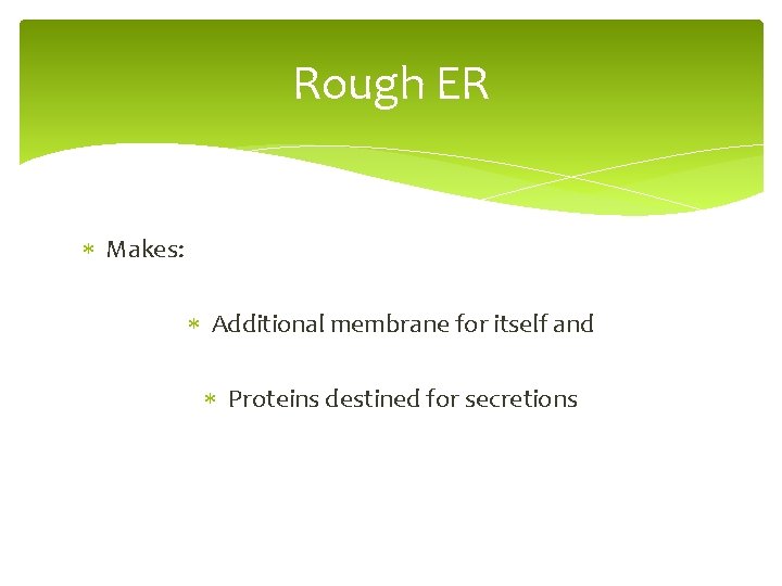 Rough ER Makes: Additional membrane for itself and Proteins destined for secretions 