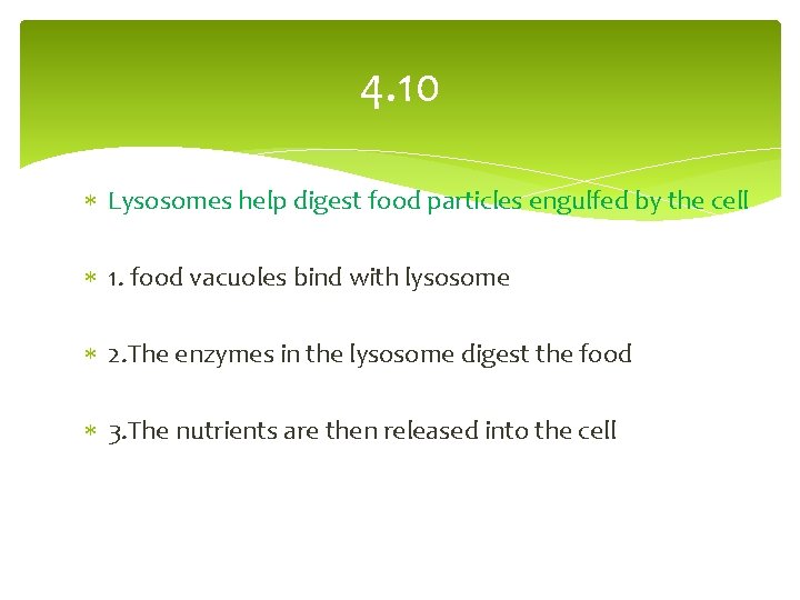 4. 10 Lysosomes help digest food particles engulfed by the cell 1. food vacuoles