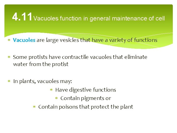 4. 11 Vacuoles function in general maintenance of cell Vacuoles are large vesicles that