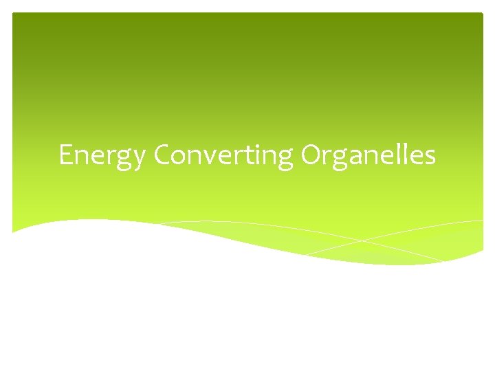 Energy Converting Organelles 