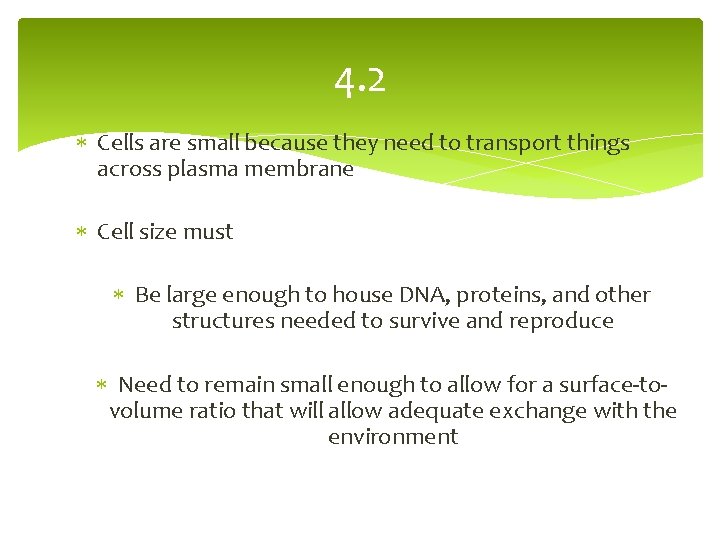 4. 2 Cells are small because they need to transport things across plasma membrane