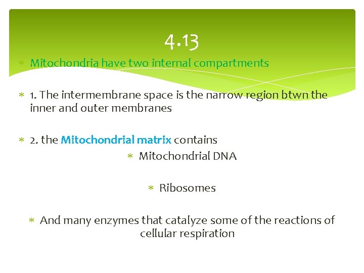 4. 13 Mitochondria have two internal compartments 1. The intermembrane space is the narrow