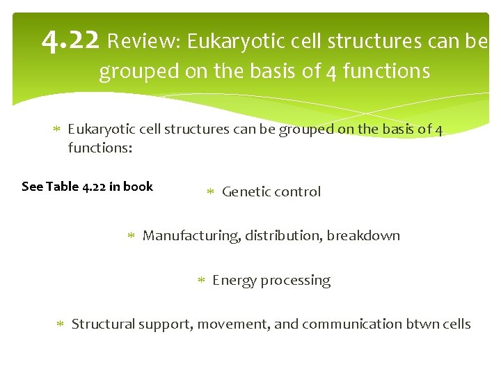 4. 22 Review: Eukaryotic cell structures can be grouped on the basis of 4