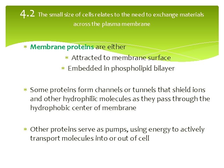 4. 2 The small size of cells relates to the need to exchange materials