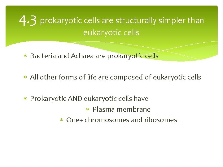 4. 3 prokaryotic cells are structurally simpler than eukaryotic cells Bacteria and Achaea are