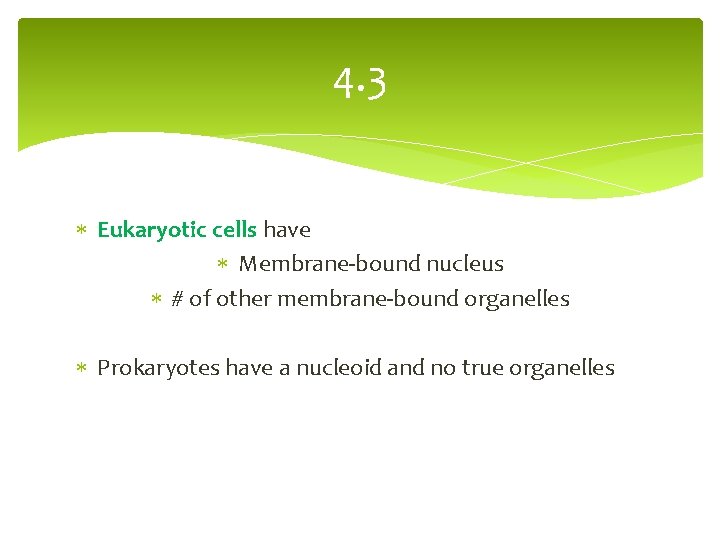 4. 3 Eukaryotic cells have Membrane-bound nucleus # of other membrane-bound organelles Prokaryotes have