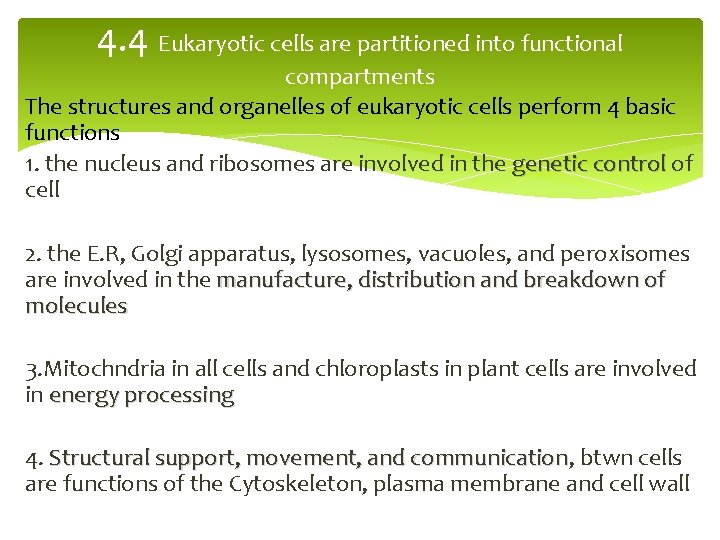 4. 4 Eukaryotic cells are partitioned into functional compartments The structures and organelles of