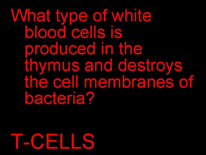 What type of white blood cells is produced in the thymus and destroys the