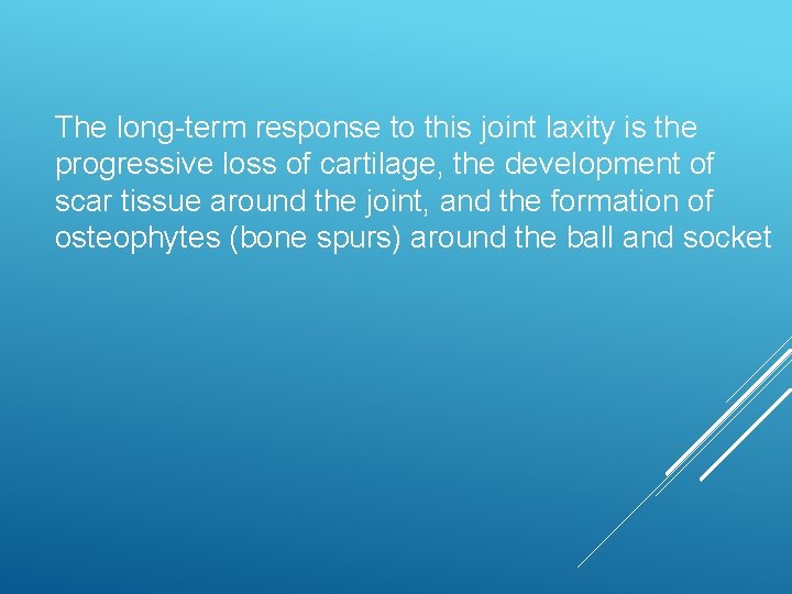 The long-term response to this joint laxity is the progressive loss of cartilage, the