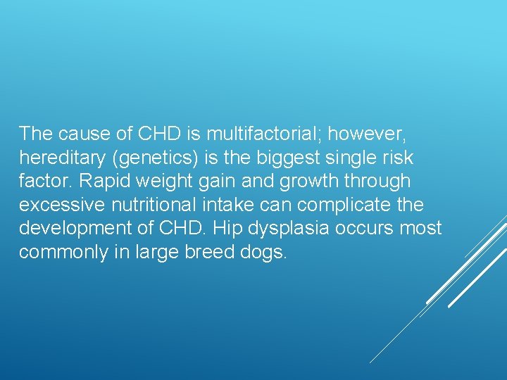 The cause of CHD is multifactorial; however, hereditary (genetics) is the biggest single risk