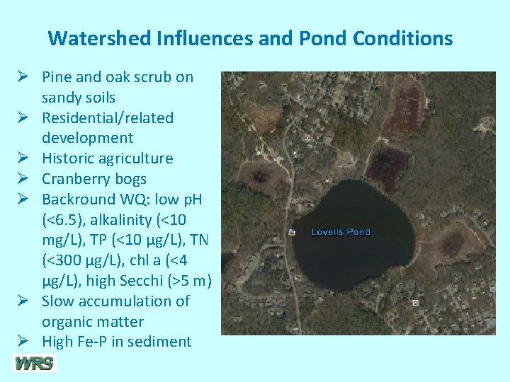 Watershed Influences and Pond Conditions Ø Pine and oak scrub on sandy soils Ø