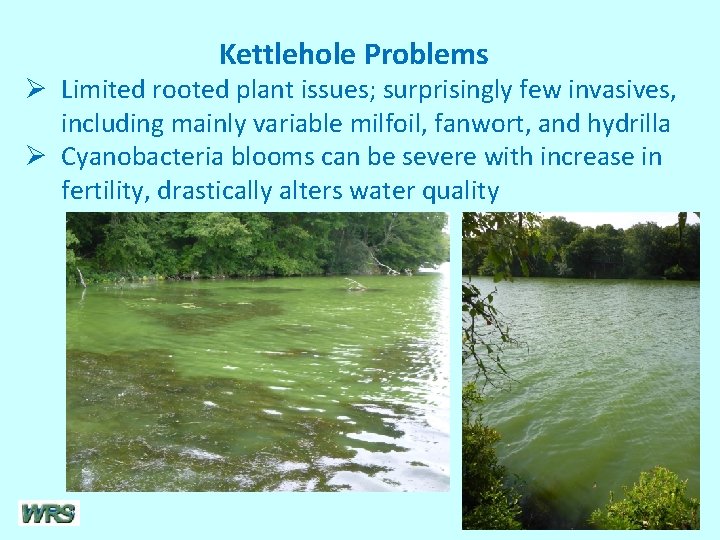 Kettlehole Problems Ø Limited rooted plant issues; surprisingly few invasives, including mainly variable milfoil,