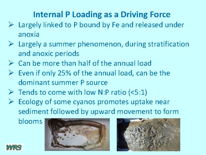 Internal P Loading as a Driving Force Ø Largely linked to P bound by