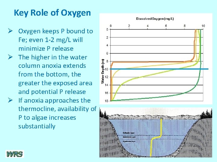 Key Role of Oxygen Ø Oxygen keeps P bound to Fe; even 1 -2