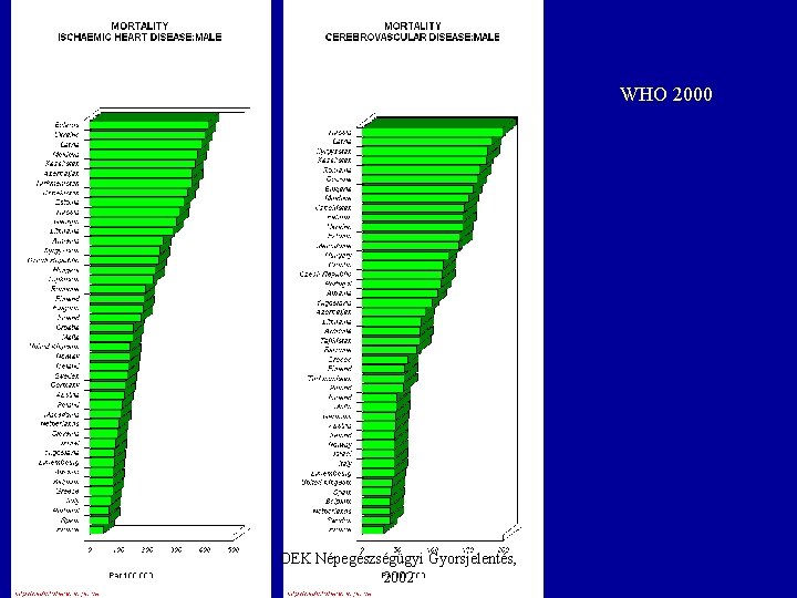 WHO 2000 OEK Népegészségügyi Gyorsjelentés, 2002 