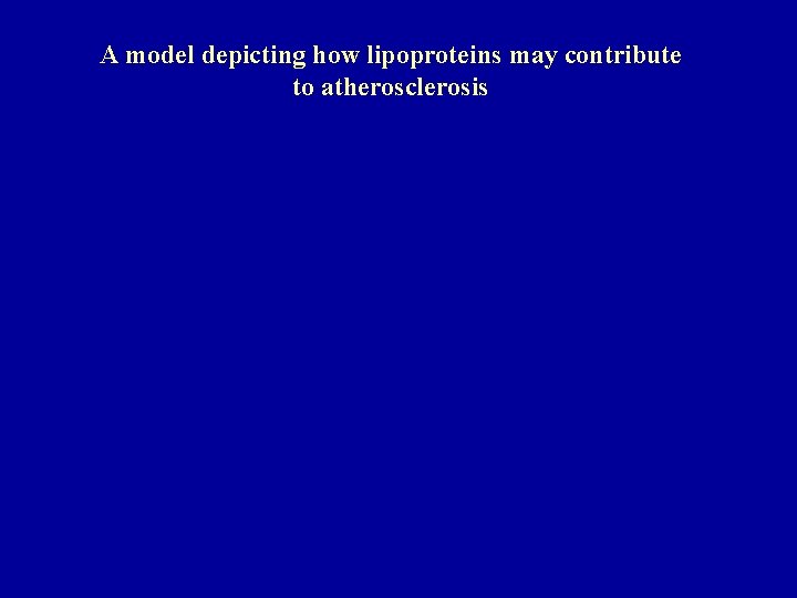 A model depicting how lipoproteins may contribute to atherosclerosis 