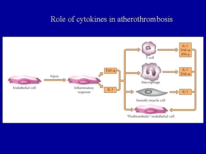 Role of cytokines in atherothrombosis 