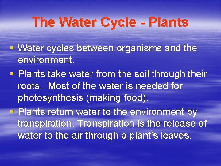 The Water Cycle - Plants § Water cycles between organisms and the environment. §