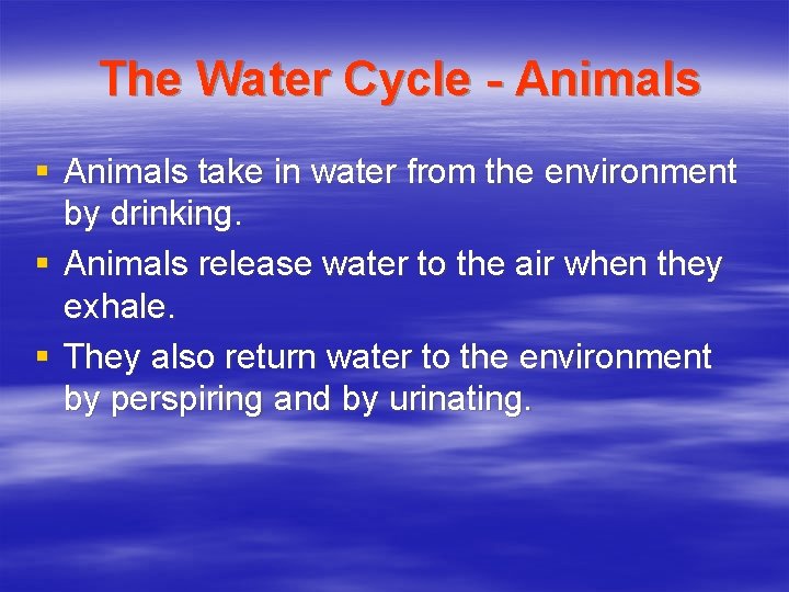 The Water Cycle - Animals § Animals take in water from the environment by