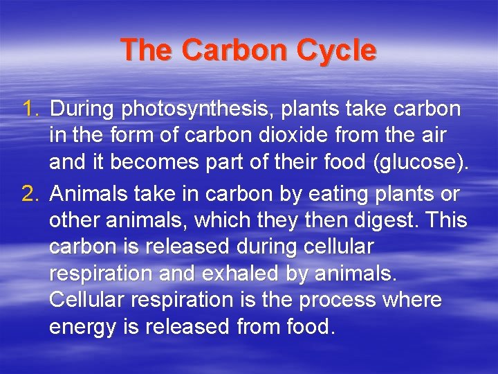 The Carbon Cycle 1. During photosynthesis, plants take carbon in the form of carbon