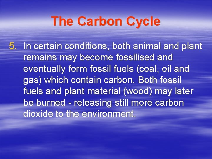 The Carbon Cycle 5. In certain conditions, both animal and plant remains may become