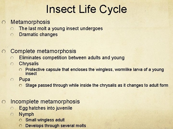 Insect Life Cycle Metamorphosis The last molt a young insect undergoes Dramatic changes Complete