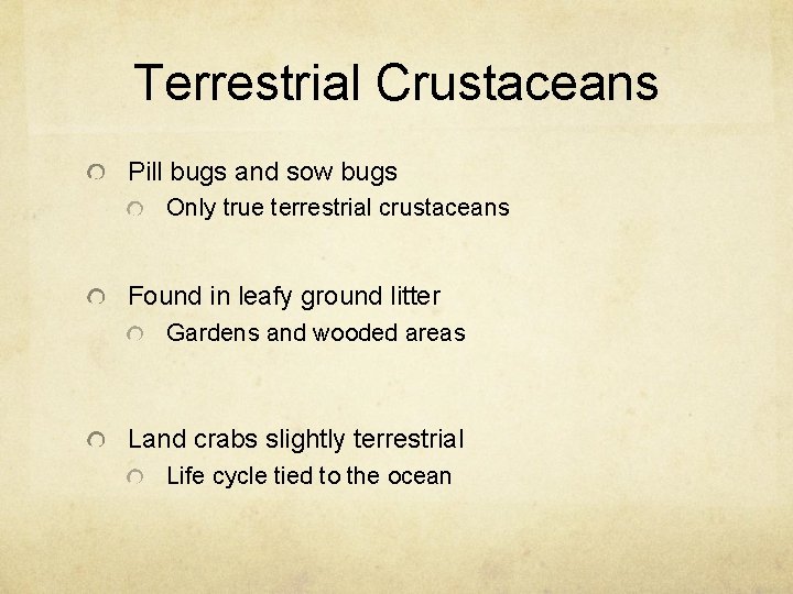 Terrestrial Crustaceans Pill bugs and sow bugs Only true terrestrial crustaceans Found in leafy
