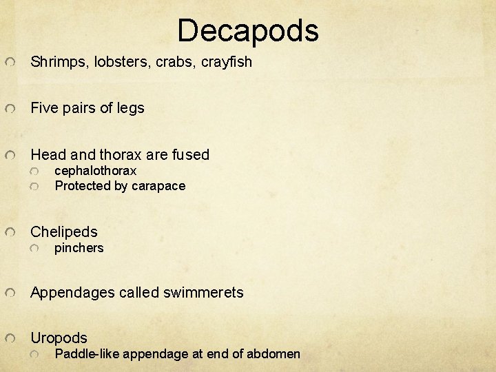 Decapods Shrimps, lobsters, crabs, crayfish Five pairs of legs Head and thorax are fused