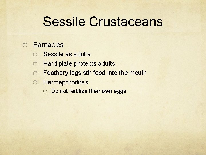 Sessile Crustaceans Barnacles Sessile as adults Hard plate protects adults Feathery legs stir food