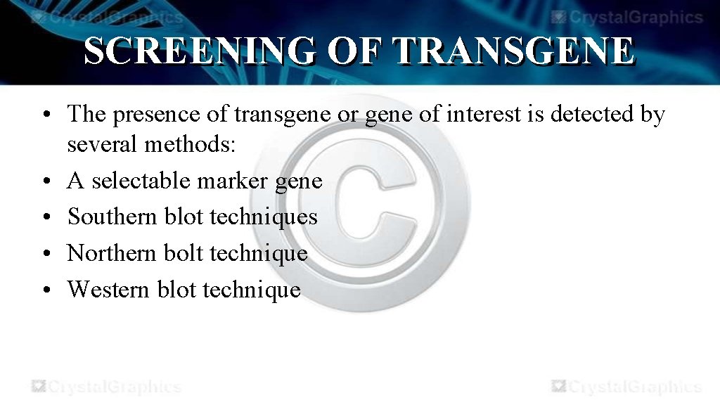 SCREENING OF TRANSGENE • The presence of transgene or gene of interest is detected