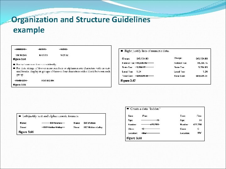 Organization and Structure Guidelines example 