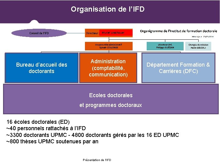Organisation de l’IFD Muriel Umbhauer Bureau d’accueil des doctorants Administration (comptabilité, communication) Département Formation