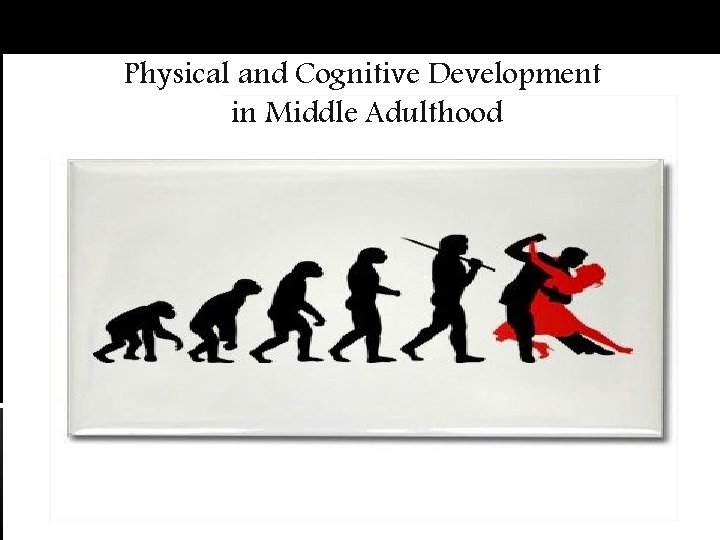 Physical and Cognitive Development in Middle Adulthood 