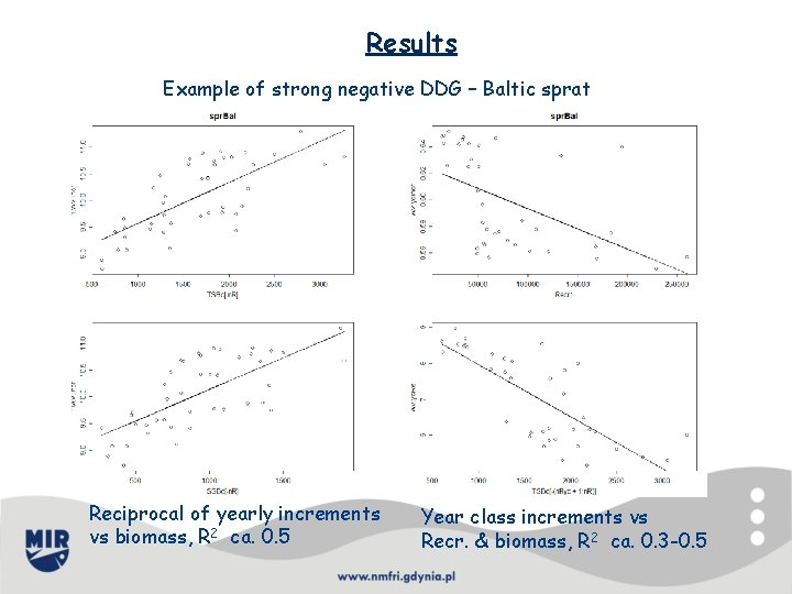 Results Example of strong negative DDG – Baltic sprat Reciprocal of yearly increments vs