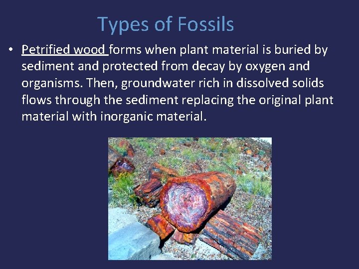 Types of Fossils • Petrified wood forms when plant material is buried by sediment