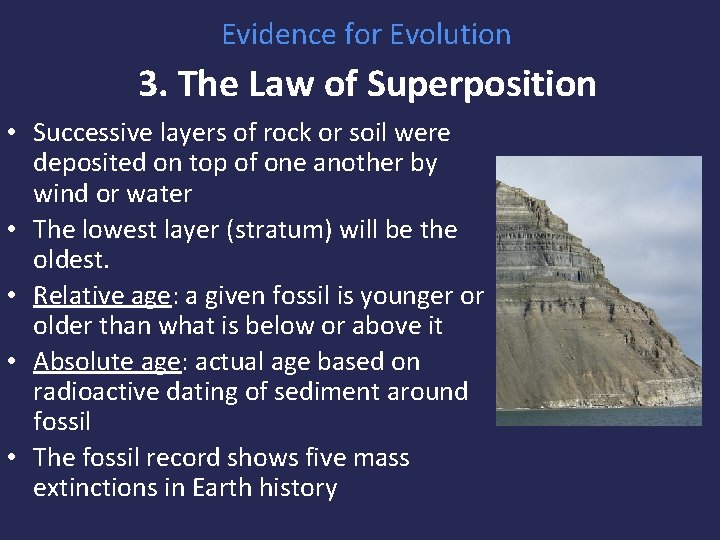 Evidence for Evolution 3. The Law of Superposition • Successive layers of rock or