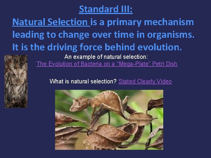 Standard III: Natural Selection is a primary mechanism leading to change over time in