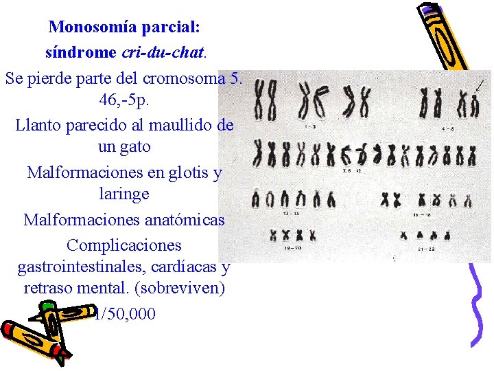 Monosomía parcial: síndrome cri-du-chat. Se pierde parte del cromosoma 5. 46, -5 p. Llanto