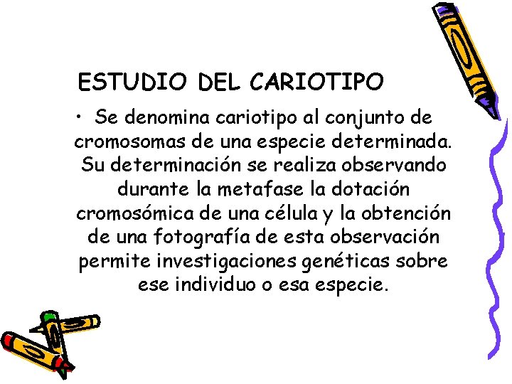 ESTUDIO DEL CARIOTIPO • Se denomina cariotipo al conjunto de cromosomas de una especie